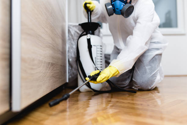 Best Pest Removal Services  in White Sulphur Springs, WV