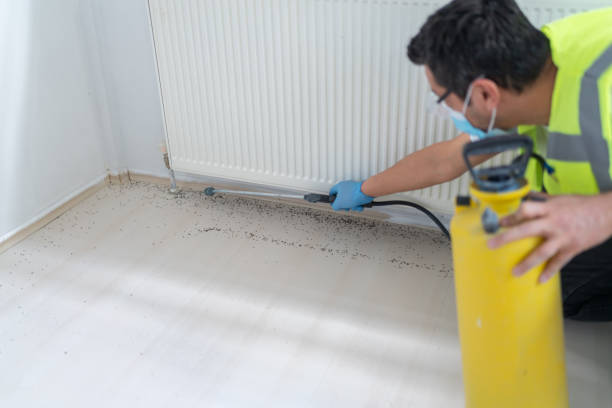 Best Commercial Pest Control Services  in White Sulphur Springs, WV